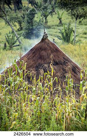 Straw roofed hut; Ethiopia View Large Photo Image Picture - Straw roofed hut; Ethiopia. Fotosearch