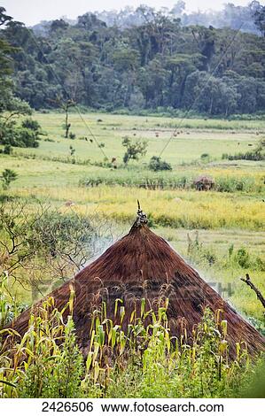 Stock Photograph - Straw roofed hut; Ethiopia. Fotosearch