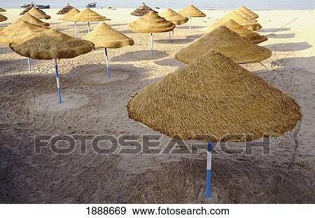 Straw Umbrellas On Beach, High Angle View View Large Photo Image Stock Photo - Straw Umbrellas On Beach, High Angle View. Fotosearch