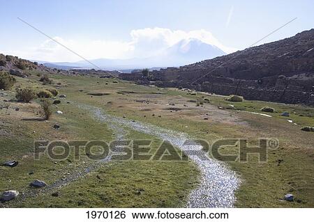 Stream By Amincha In Antofagasta Region, Chile View Large Photo Image Stock Photograph - Stream By Amincha In Antofagasta Region, Chile. Fotosearch
