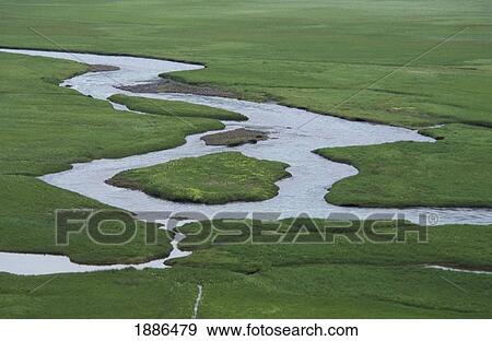 Stock Photo - Streams Winding Through Green Grass, Aerial View. Fotosearch