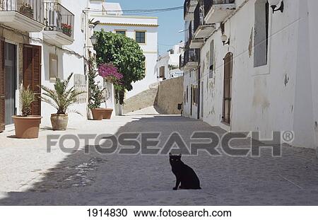 Street Scene With Black Cat View Large Photo Image Stock Image - Street Scene With Black Cat. Fotosearch