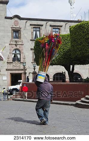 Street vendor carrying bucket of flowers; San Miguel de Allende, Guanajuato, Mexico View Large Photo Image Stock Image - Street vendor carrying bucket of flowers; San Miguel de Allende, Guanajuato, Mexico. Fotosearch