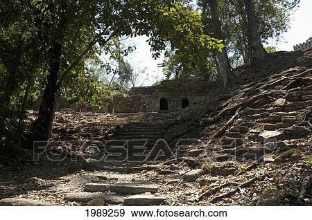 Stock Photo - Structure 25, Yaxchilan, Chiapas, Mexico. Fotosearch