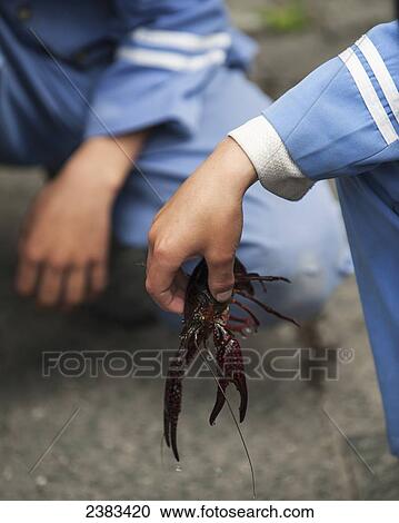 Stock Image - Students holding crayfish; Dali, Yunnan, China. Fotosearch