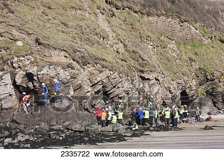 Stock Image - Students Studying Rock Structure Geology At Beach Near St David's; Nolton Haven Beach, Pembrokeshire Coast, Wales, Uk. Fotosearch