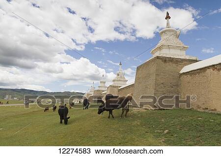 Stupas on the enclosure wall surrounding Erdene Zuu Monastery, Karakorum (Kharkhorin),? v÷rkhangai Province, Mongolia View Large Photo Image Stock Image - Stupas on the enclosure wall surrounding Erdene Zuu Monastery, Karakorum (Kharkhorin),? v÷rkhangai Province, Mongolia. Fotosearch