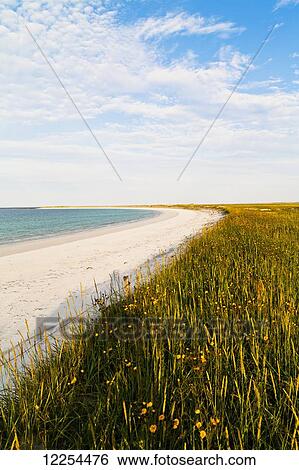 Stock Photograph - Sty Wick Beach; Orkney, Scotland. Fotosearch