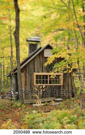 Sugar Cabin In Autumn, Kamouraska Village, Bas-Saint-Laurent Region, Quebec View Large Photo Image Stock Photo - Sugar Cabin In Autumn, Kamouraska Village, Bas-Saint-Laurent Region, Quebec. Fotosearch