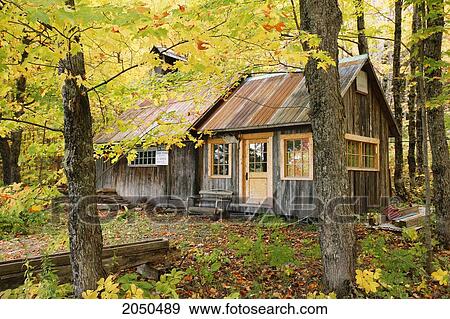 Sugar Cabin In Autumn, Kamouraska Village, Bas-Saint-Laurent Region, Quebec View Large Photo Image Stock Photo - Sugar Cabin In Autumn, Kamouraska Village, Bas-Saint-Laurent Region, Quebec. Fotosearch