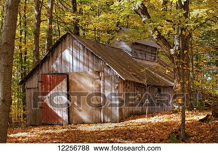 Sugar house; Roxton Pond, Quebec, Canada View Large Photo Image Stock Photo - Sugar house; Roxton Pond, Quebec, Canada. Fotosearch