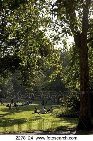 Summer evening in St James's Park; London, England View Large Photo Image Picture - Summer evening in St James's Park; London, England. Fotosearch