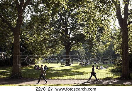 Summer evening in St James's Park; London, England View Large Photo Image Stock Photo - Summer evening in St James's Park; London, England. Fotosearch