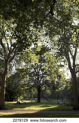 Summer evening in St James's Park; London, England View Large Photo Image Stock Photo - Summer evening in St James's Park; London, England. Fotosearch