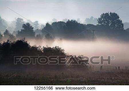 Summer morning on a Kent farm; Kent, England View Large Photo Image Stock Photograph - Summer morning on a Kent farm; Kent, England. Fotosearch