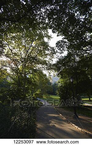 Stock Photo - Sun-dappled pedestrian path in Central Park; New York City, New York, United States of America. Fotosearch