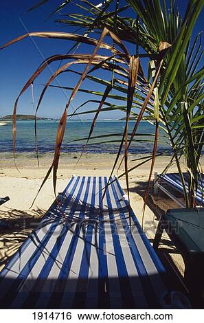 Stock Photograph - Sun Lounger On Beach Front By Palm. Fotosearch