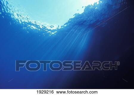 Stock Photograph - Sun Shafts Refracting Into The Clear Blue Water At Reef Edge; Maroro Bay, Poor Knights Islands, New Zealand. Fotosearch