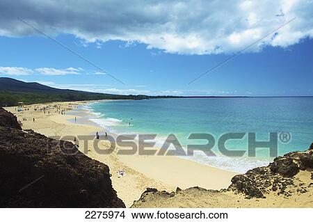 Sunbathers, swimmers and surfers on a hawaiian beach; Hawaii, United States of America View Large Photo Image Picture - Sunbathers, swimmers and surfers on a hawaiian beach; Hawaii, United States of America. Fotosearch