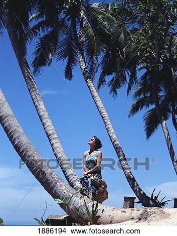 Picture - Sunbathing Under Palm Tree. Fotosearch