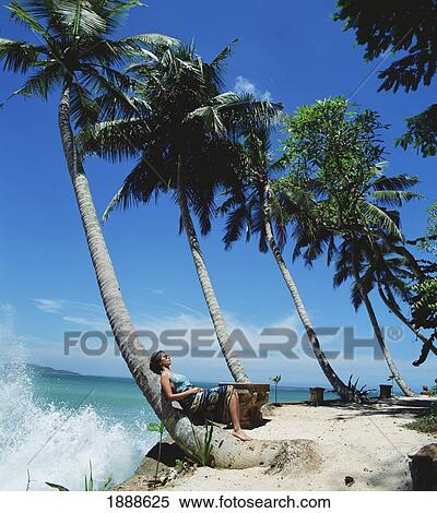 Stock Photography - Sunbathing Under Palm Trees With Waves Crashing On The Shore. Fotosearch