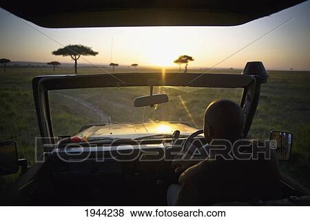 Stock Photo - Sunlight Reflects Off The Hood Of A Vehicle As A Man Drives Towards A Sunset; Masai Mara Kenya. Fotosearch