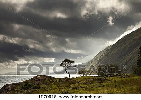 Sunlight Shingin Through The Storm Clouds Over The Water Along The Coastline; Ardnamurchan Argyl Scotland View Large Photo Image Stock Photo - Sunlight Shingin Through The Storm Clouds Over The Water Along The Coastline; Ardnamurchan Argyl Scotland. Fotosearch