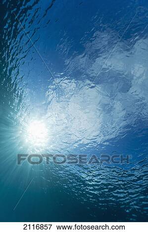 Stock Photo - Sunlight streaming through the surface of the Pacific Ocean.. Fotosearch