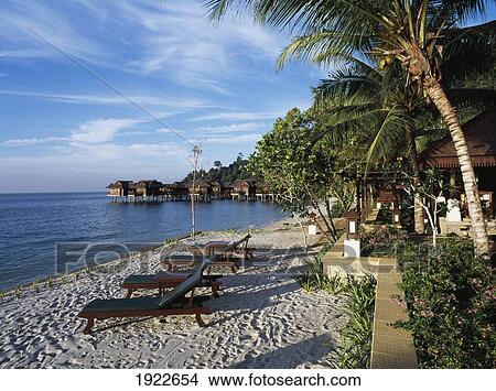 Picture - Sunlounger On Beach At Holiday Resort. Fotosearch