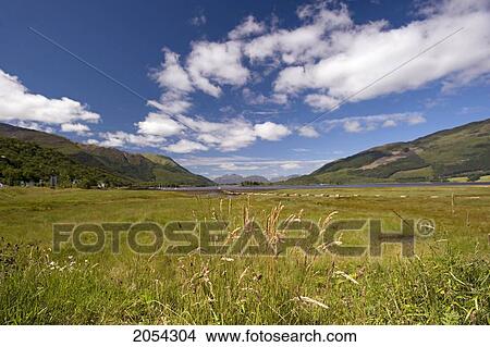 Picture - Sunny Landscape In Scottish Highlands; Fort William, Scotland. Fotosearch