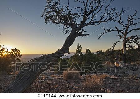 Picture - Sunrise at Colorado National Monument; Colorado. USA. Fotosearch