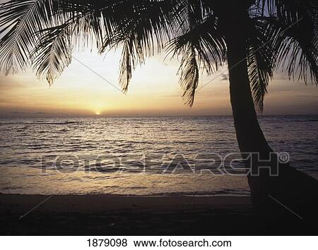 Stock Photo - Sunrise Of Hunting Caye. Fotosearch