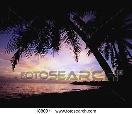 Sunrise On Beach Near Puerto Plata View Large Photo Image Stock Image - Sunrise On Beach Near Puerto Plata. Fotosearch