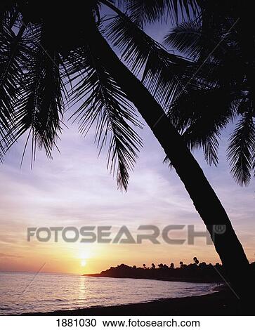 Sunrise On Beach Near Puerto Plata View Large Photo Image Stock Image - Sunrise On Beach Near Puerto Plata. Fotosearch