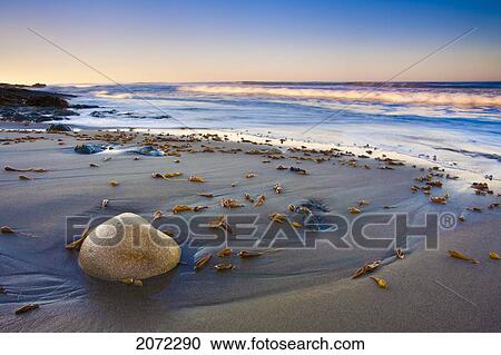 Sunrise On San Simeon Beach, California View Large Photo Image Stock Image - Sunrise On San Simeon Beach, California. Fotosearch