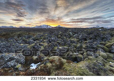 Picture - Sunrise Over An Old Lava Field On The Snaefellsness Peninsula; Iceland. Fotosearch