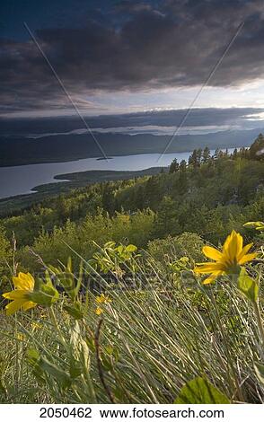 Sunrise Over Fields And The Teslin River, Yukon View Large Photo Image Stock Image - Sunrise Over Fields And The Teslin River, Yukon. Fotosearch
