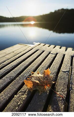 Stock Photo - Sunrise Over Leaf On Floating Dock In Mont-Saint-Bruno National Park; Quebec Canada. Fotosearch