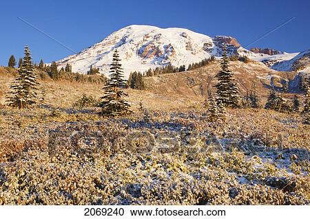 Stock Image - Sunrise Over Mount Rainier And First Snow; Washington United States Of America. Fotosearch