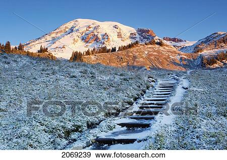 Sunrise Over Mount Rainier And First Autumn Snow Covering Steps Leading Up A Hill; Washington United States Of America View Large Photo Image Stock Photo - Sunrise Over Mount Rainier And First Autumn Snow Covering Steps Leading Up A Hill; Washington United States Of America. Fotosearch