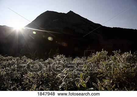 Stock Photo - Sunrise Over Mountain Silhouette. Fotosearch