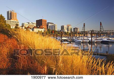 Sunrise Over Portland Near The Waterfront; Portland, Oregon, United States Of America View Large Photo Image Stock Photo - Sunrise Over Portland Near The Waterfront; Portland, Oregon, United States Of America. Fotosearch