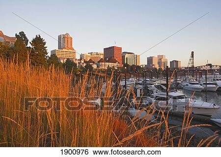 Stock Photograph - Sunrise Over Portland Near The Waterfront; Portland, Oregon, United States Of America. Fotosearch