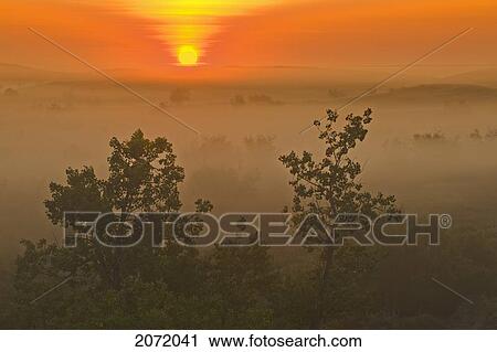 Stock Image - Sunrise Over The Great Sandhills, Near Sceptre, Saskatchewan. Fotosearch