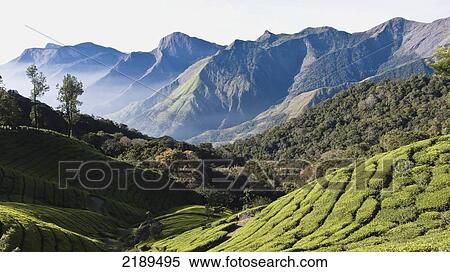 Stock Photography - Sunrise Over The Majestic Western Ghats And The Theni Valley, Top Station, Kerala, India. Fotosearch