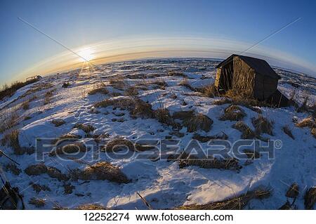 Picture - Sunrise over the Norton Sound sea ice during Iditarod; Alaska, United States of America. Fotosearch