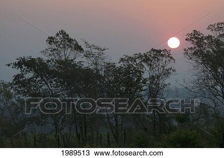 Stock Image - Sunrise Over The Selva Lacandona, Chiapas, Mexico. Fotosearch