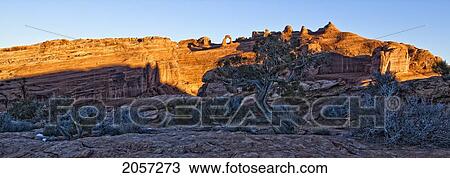Sunrise Over Tree And Delicate Arch, Arches National Park, Utah. View Large Photo Image Stock Image - Sunrise Over Tree And Delicate Arch, Arches National Park, Utah.. Fotosearch