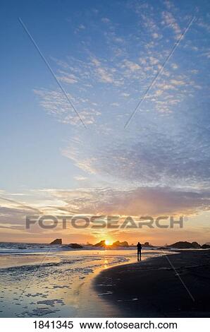 Sunset At Harris Beach State Park; Brookings, Oregon, Usa View Large Photo Image Stock Photography - Sunset At Harris Beach State Park; Brookings, Oregon, Usa. Fotosearch