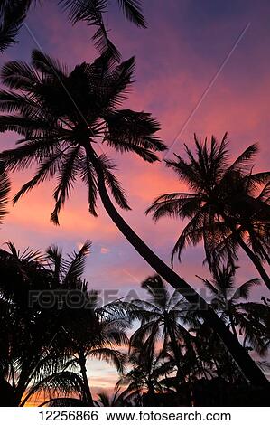 Stock Photograph - Sunset at Keawekapu Beach; Wailea, Maui, Hawaii, United States of America. Fotosearch